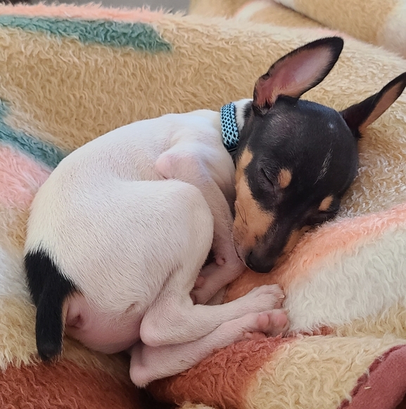 Meet your Posher, Tiff - Picture 14 of 16